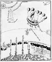 Kindermann's space galley